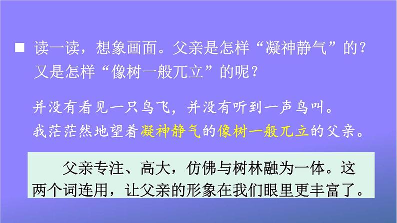 人教部编版小学语文三年级上册《23 父亲、树林和鸟》课堂教学课件PPT公开课08