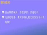 人教部编版小学语文三年级上册《25 灰雀》课堂教学课件PPT公开课