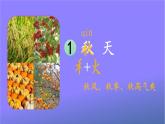 人教部编版小学语文一年级上册《1 秋天》课堂教学课件PPT公开课