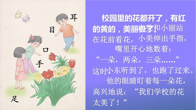 人教部编版小学语文一年级上册《3 口耳目》课堂教学课件PPT公开课第6页