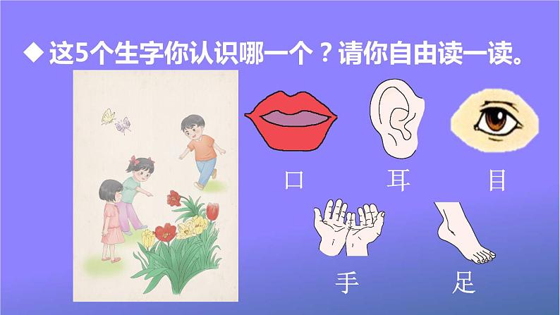 人教部编版小学语文一年级上册《3 口耳目》课堂教学课件PPT公开课第7页