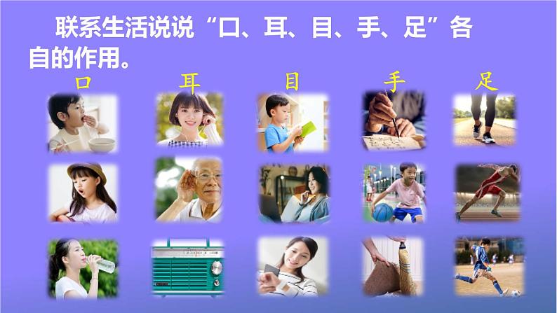 人教部编版小学语文一年级上册《3 口耳目》课堂教学课件PPT公开课第8页