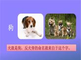 人教部编版小学语文一年级上册《5 影子》课堂教学课件PPT公开课
