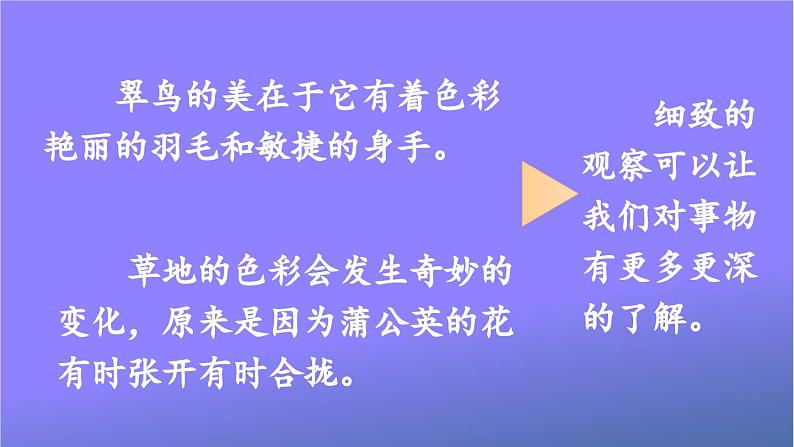 人教部编版小学语文三年级上册《交流平台 初试身手 习作例文》课堂教学课件PPT公开课第3页