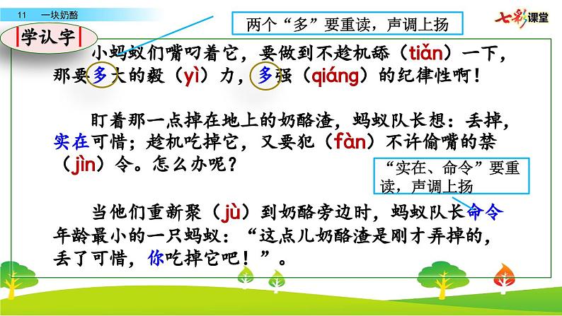 11 一块奶酪.pptx代做第5页