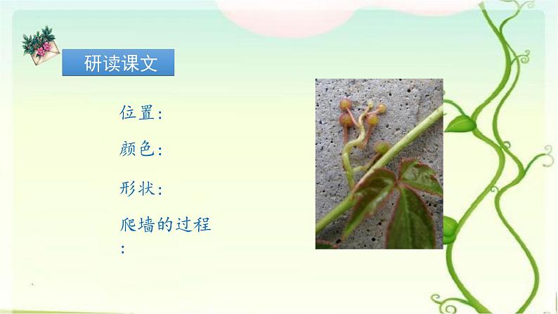 10《爬山虎的脚》 课件第8页