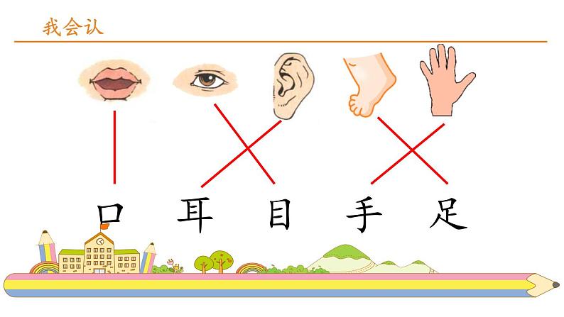 耳口目PPT课件607