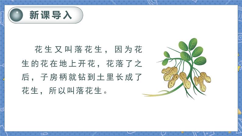 （教案匹配课件）2.落花生第1页