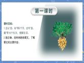 第1单元 2.落花生 部编版5语上 [教学课件+教案]