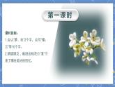 第1单元 3.桂花雨 部编版5语上 [教学课件+教案]