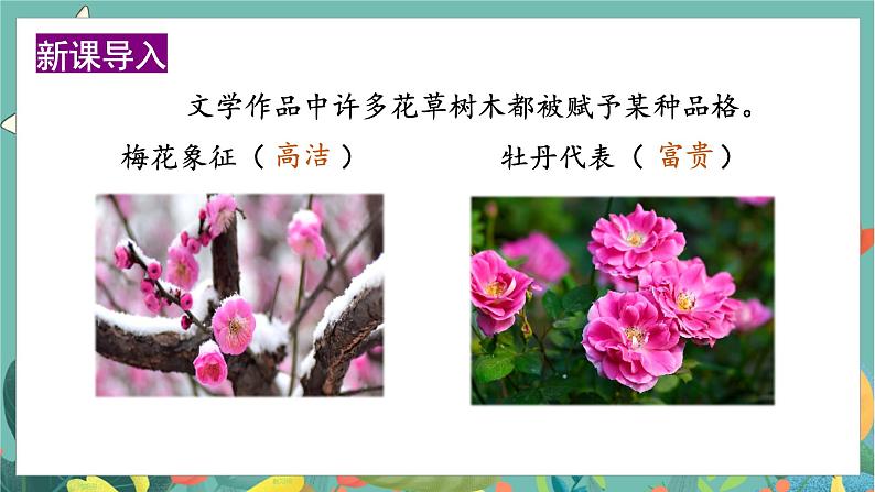 第1单元 2.丁香结 部编版6语上 [教学课件]01