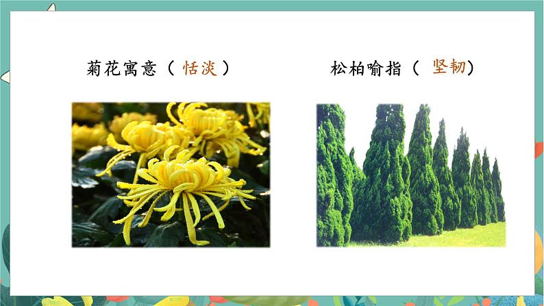 第1单元 2.丁香结 部编版6语上 [教学课件]02