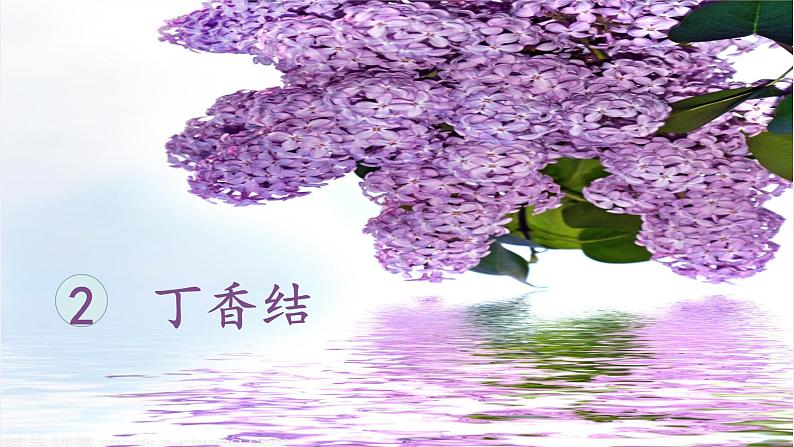 第1单元 2.丁香结 部编版6语上 [教学课件]04