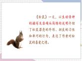 第5单元 交流平台与初试身手 部编版5语上 [教学课件+教案]