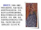 16+麻雀（课件）统编版语文四年级上册