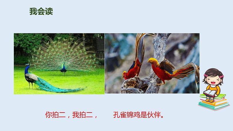 拍手歌PPT课件304