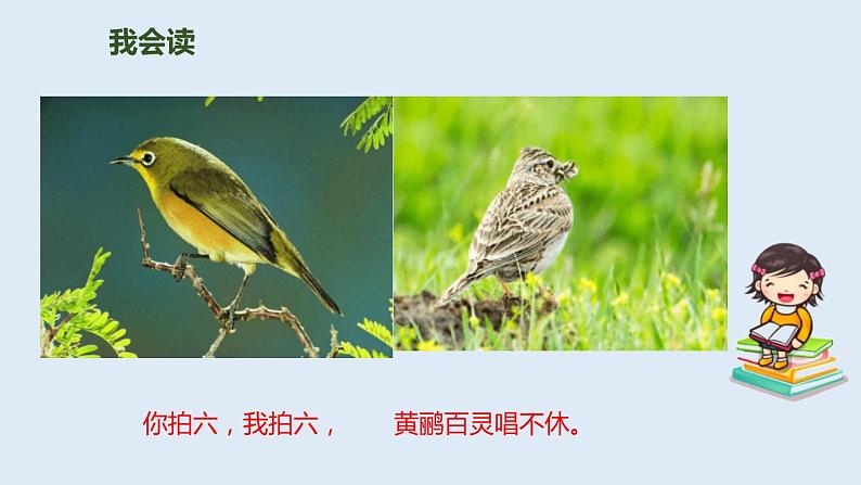 拍手歌PPT课件308