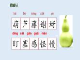 我要的是葫芦PPT课件7
