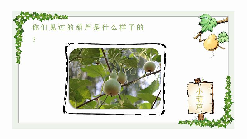 我要的是葫芦PPT课件204