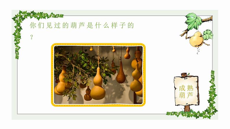 我要的是葫芦PPT课件206