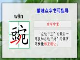 5《一个豆荚里的五粒豆》课件+教案