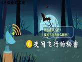 6《夜间飞行的秘密》课件+教案