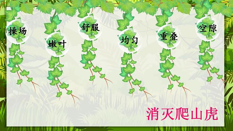 10《爬山虎的脚》课件+教案08