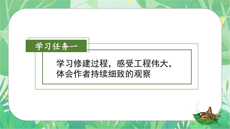 部编版语文四年级上册 第11课《蟋蟀的住宅》（第二课时） 同步课件+导学案+同步教案+同步练习05