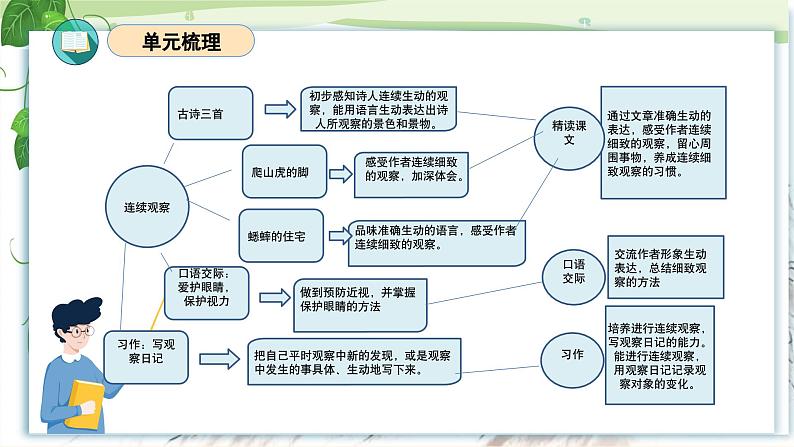 部编版语文四年级上册 第三单元（复习课件）第3页