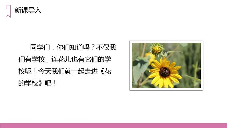 花的学校PPT课件103