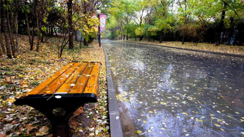 小学语文人教部编版三年级上册秋天的雨获奖ppt课件-教习网|课件下载