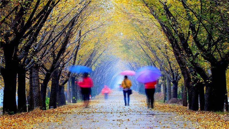 秋天的雨PPT课件108