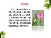 搭船的鸟PPT课件6