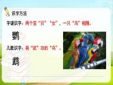搭船的鸟PPT课件8