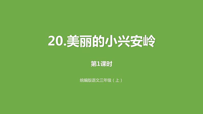 美丽的小兴安岭PPT课件8第1页