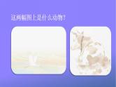 人教部编版小学语文四年级上册《3 现代诗二首》课堂教学课件PPT公开课