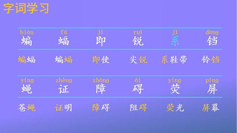 人教部编版小学语文四年级上册《6 夜间飞行的秘密》课堂教学课件PPT公开课05