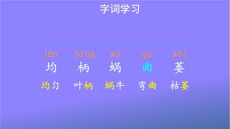 人教部编版小学语文四年级上册《10 爬山虎的脚》课堂教学课件PPT公开课05