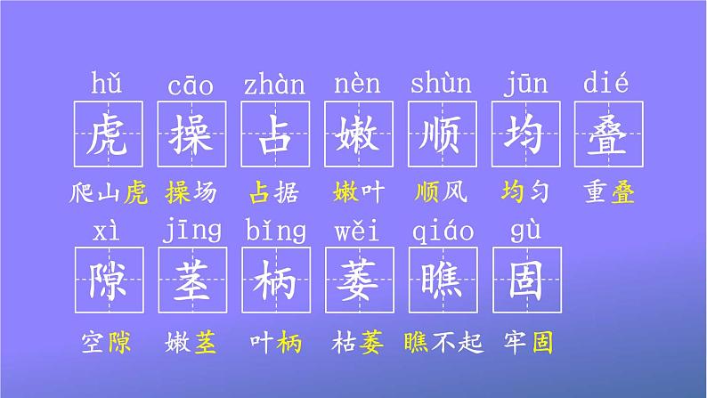 人教部编版小学语文四年级上册《10 爬山虎的脚》课堂教学课件PPT公开课06