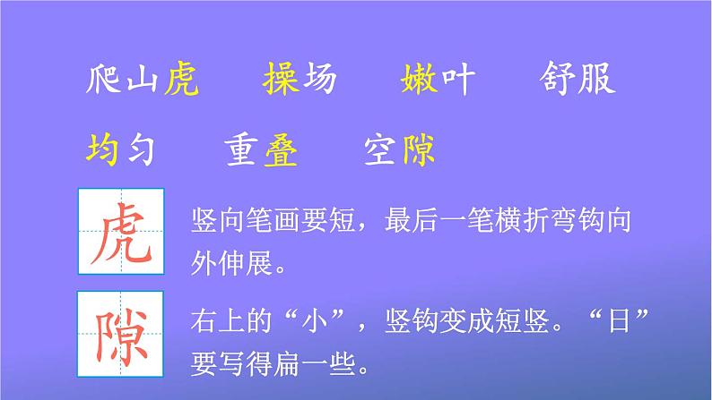 人教部编版小学语文四年级上册《10 爬山虎的脚》课堂教学课件PPT公开课07