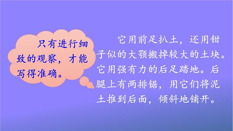 人教部编版小学语文四年级上册《语文园地三》课堂教学课件PPT公开课03