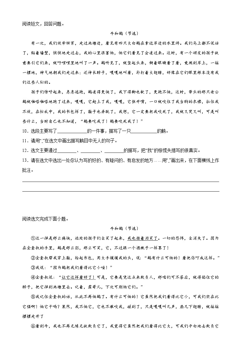 11、四年级上册语文 第六单元阅读训练（原卷版）2023-2024学年人教部编版02