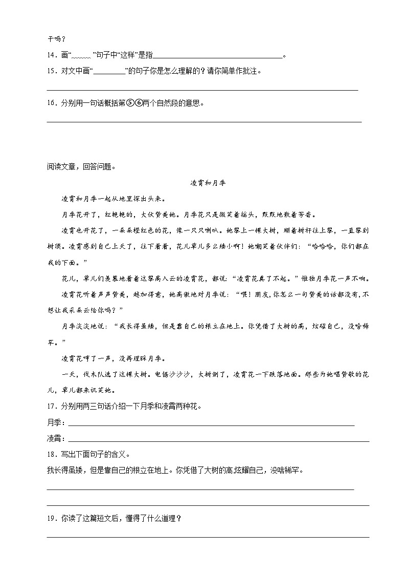 11、四年级上册语文 第六单元阅读训练（原卷版）2023-2024学年人教部编版03