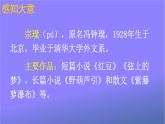 人教部编版小学六年级语文上册《2 丁香结》课堂教学课件PPT公开课