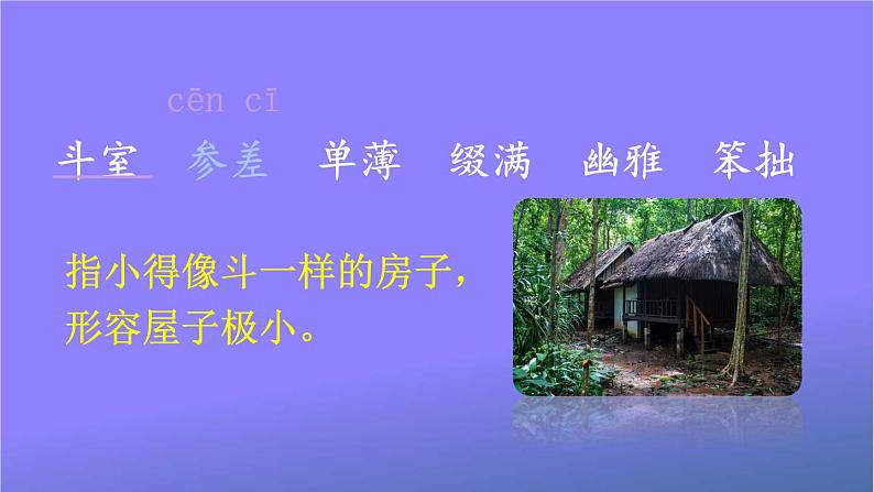 人教部编版小学六年级语文上册《2 丁香结》课堂教学课件PPT公开课第6页