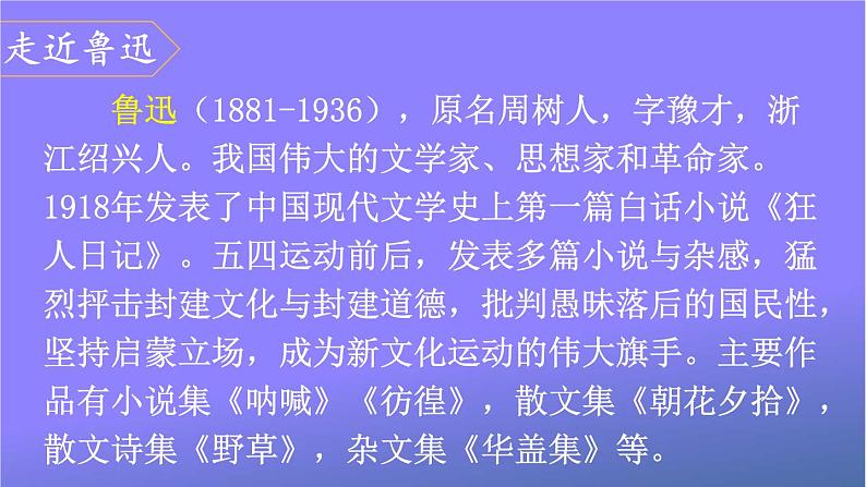 人教部编版小学六年级语文上册《25 少年闰土》课堂教学课件PPT公开课03