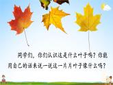 人教统编版小学语文三年级上册《5 铺满金色巴掌的水泥道》课堂教学课件PPT公开课