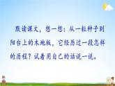 人教统编版小学语文三年级上册《9 那一定会很好》课堂教学课件PPT公开课