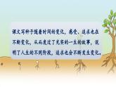 人教統(tǒng)編版語文小學(xué)三年級上冊《第三單元主題閱讀》課堂教學(xué)課件PPT公開課