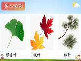 人教統(tǒng)編版語文小學(xué)一年級上冊《第六單元主題閱讀》課堂教學(xué)課件PPT公開課